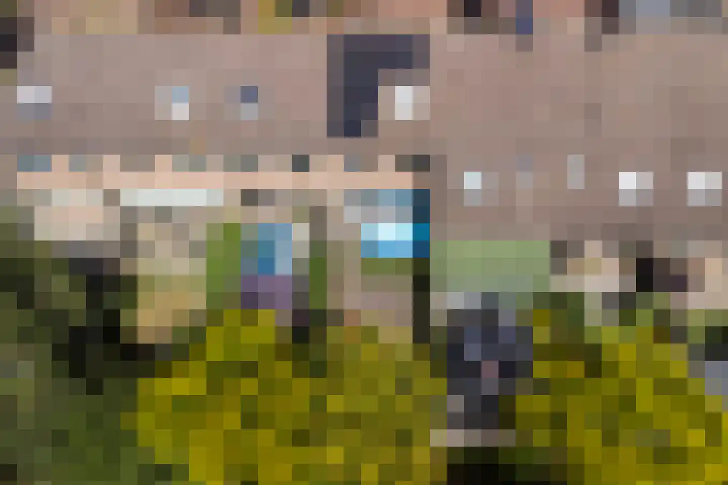 Wildforster 89 Barneveld thumbnail 28