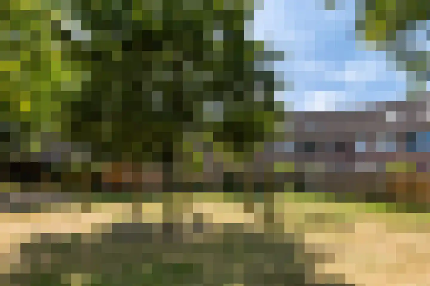 Wildforster 89 Barneveld thumbnail 30