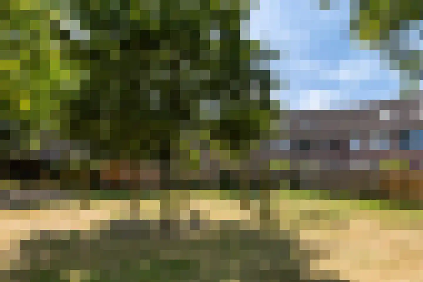 Wildforster 89 Barneveld thumbnail 4
