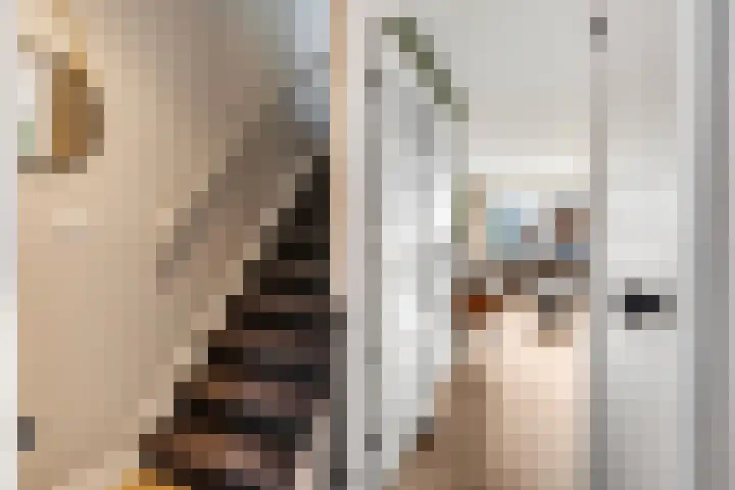Wildforster 94 Barneveld thumbnail 10