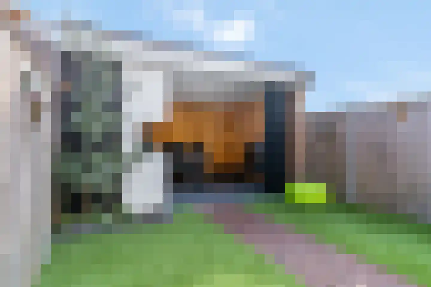Wildforster 94 Barneveld thumbnail 42