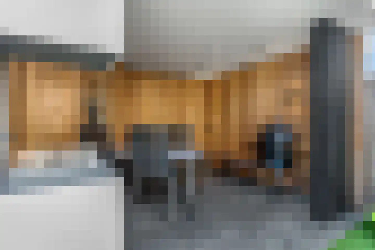 Wildforster 94 Barneveld thumbnail 43