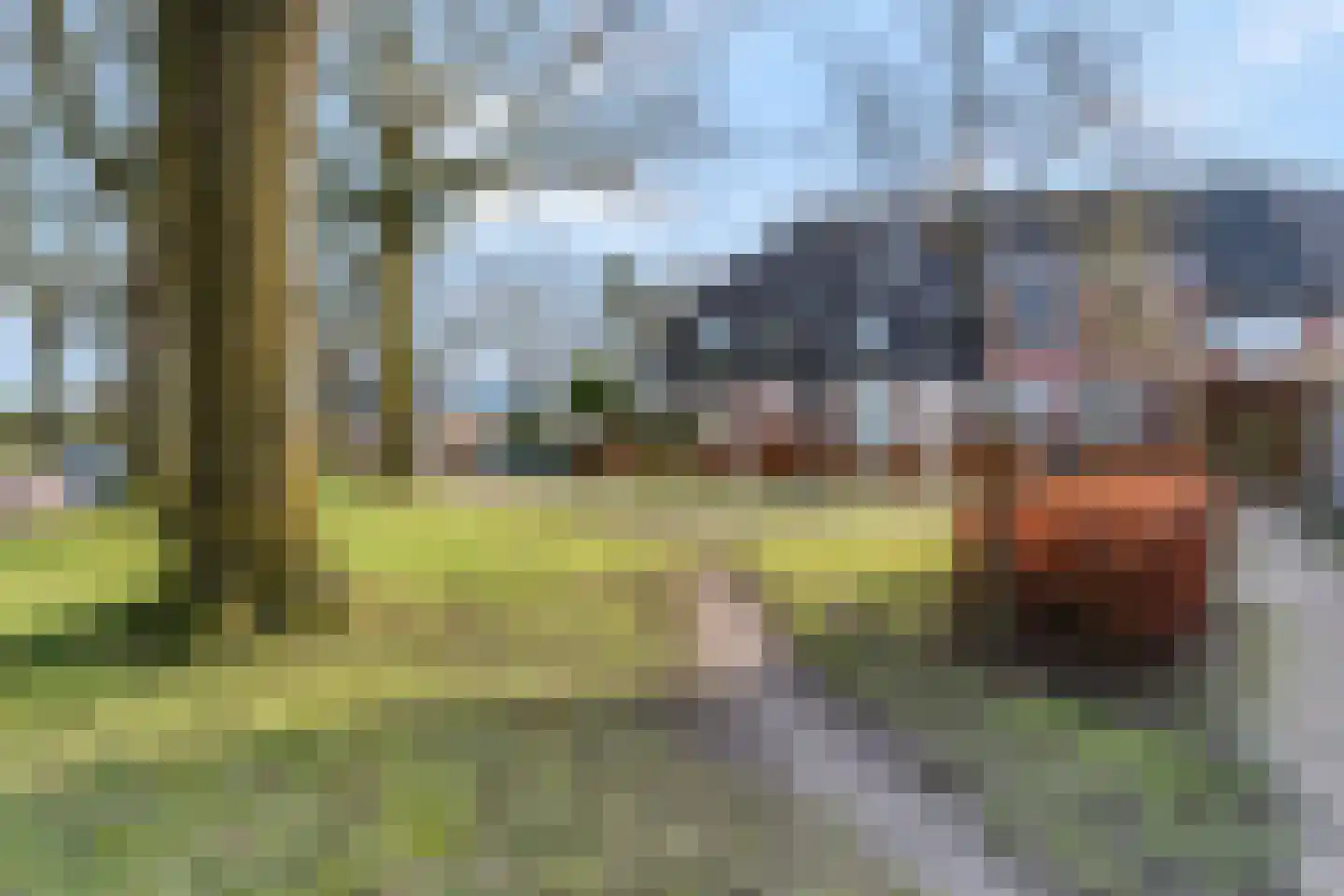 Wildforster 94 Barneveld thumbnail 49