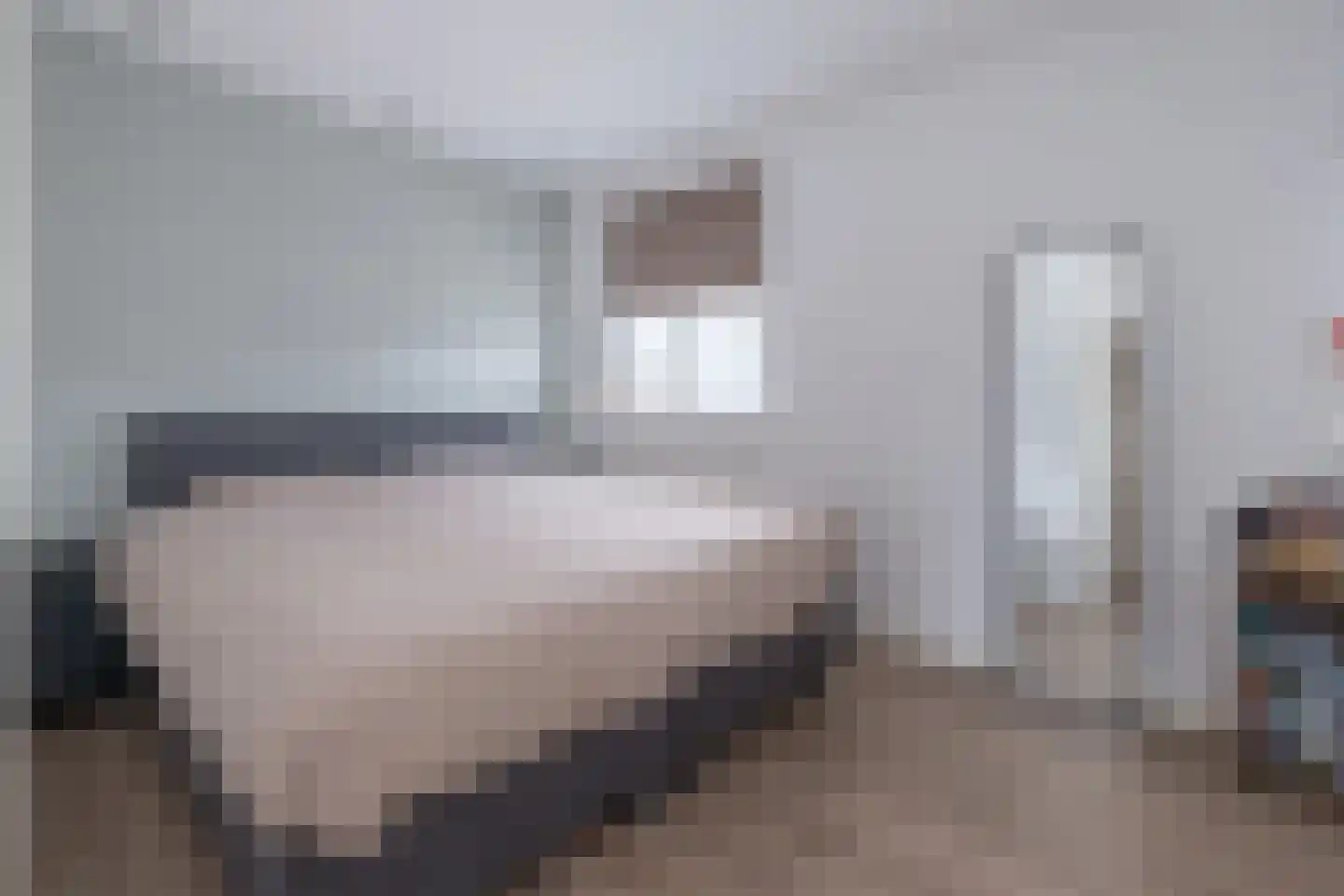 Wildforster 98 Barneveld thumbnail 16
