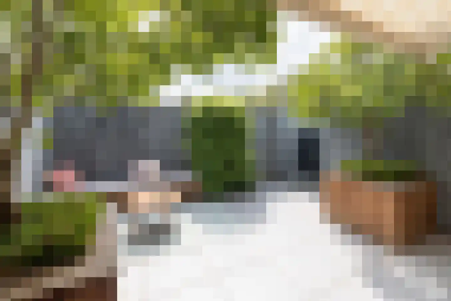 Wildforster 98 Barneveld thumbnail 31