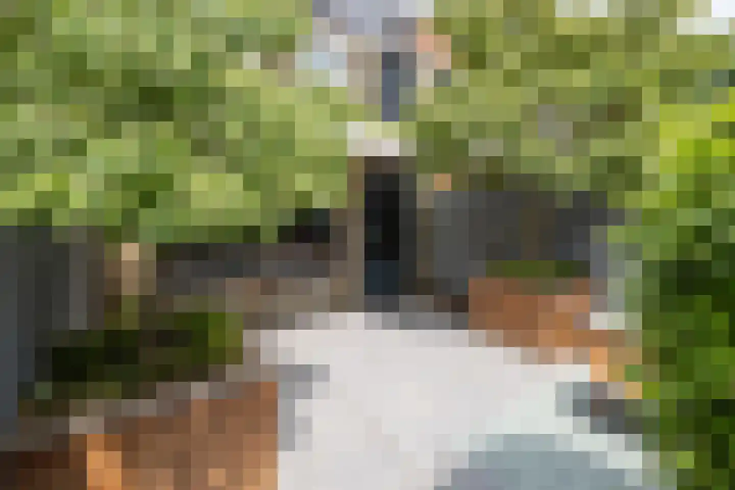 Wildforster 98 Barneveld thumbnail 33