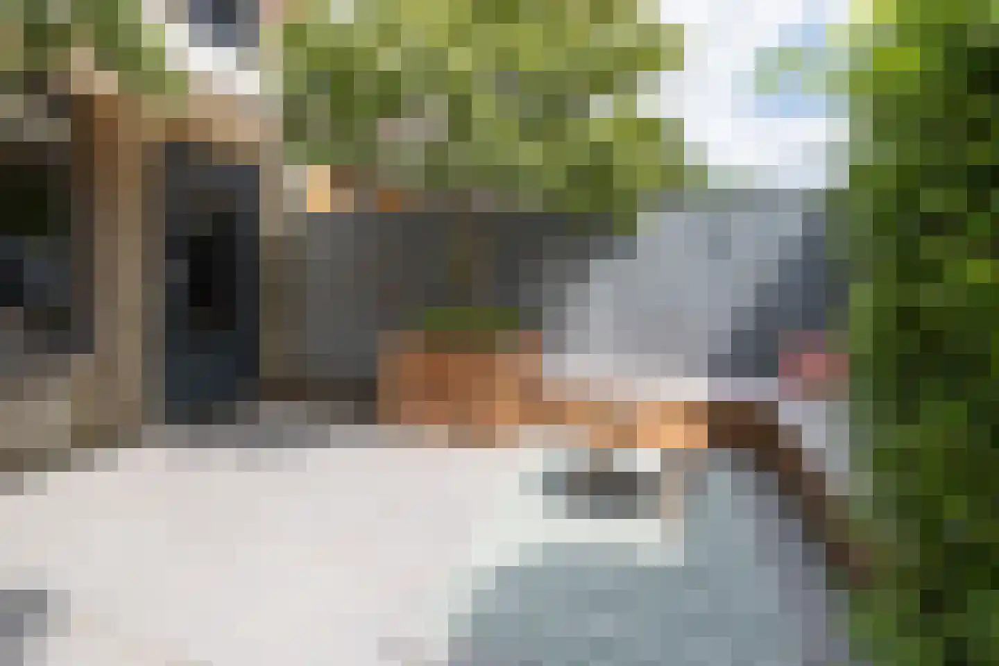 Wildforster 98 Barneveld thumbnail 34