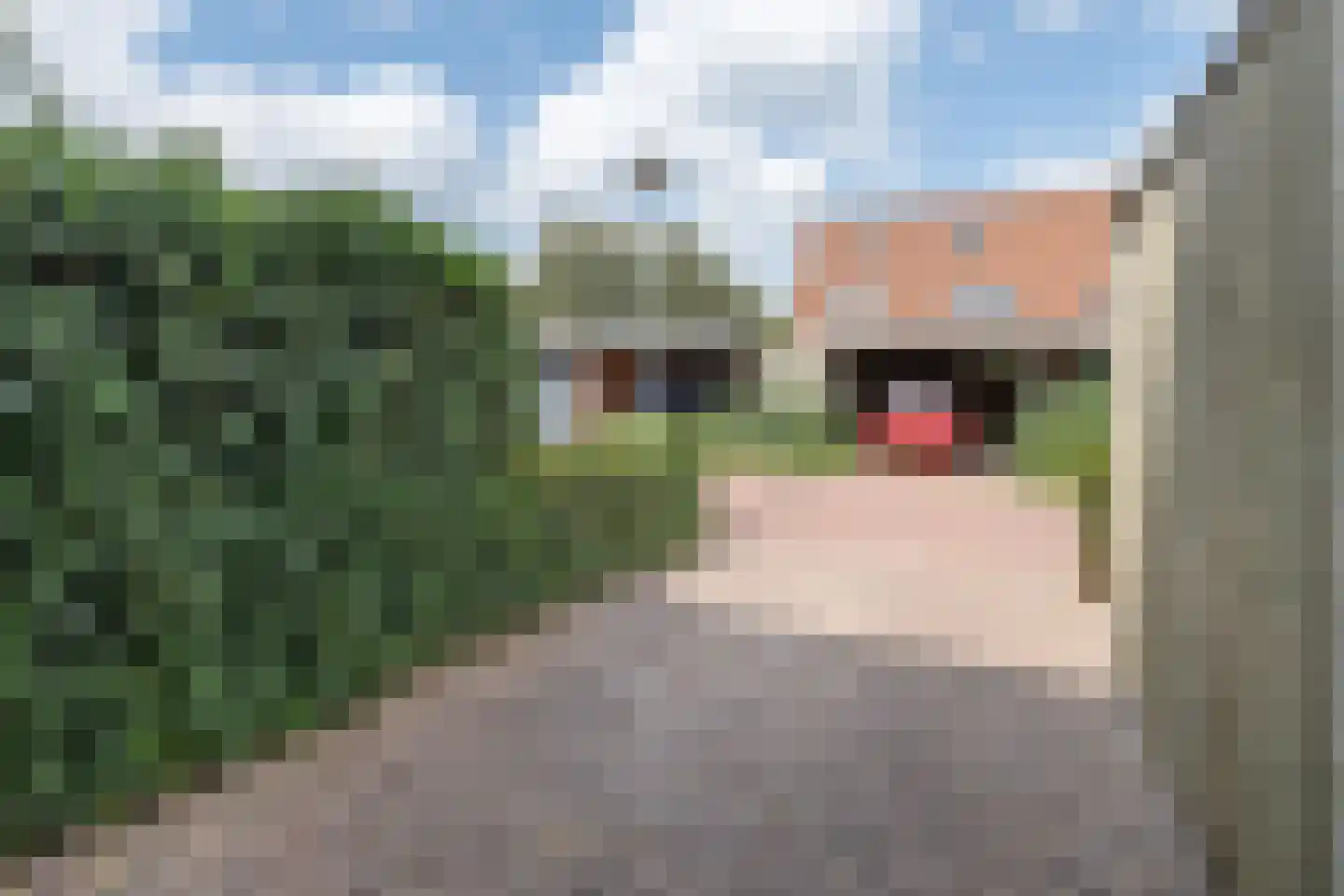 Wildforster 98 Barneveld thumbnail 36