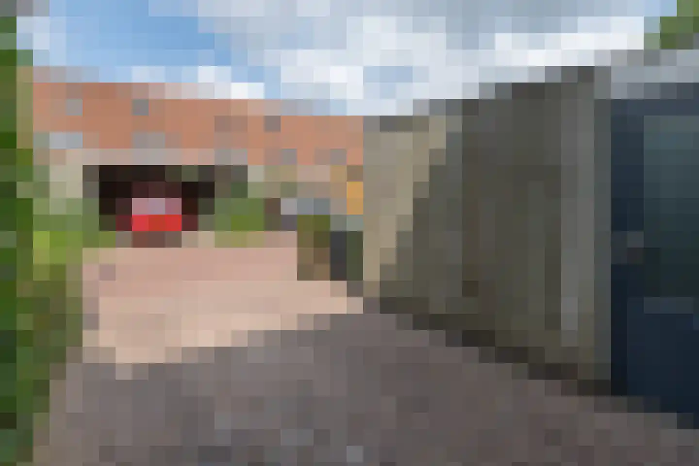 Wildforster 98 Barneveld thumbnail 38