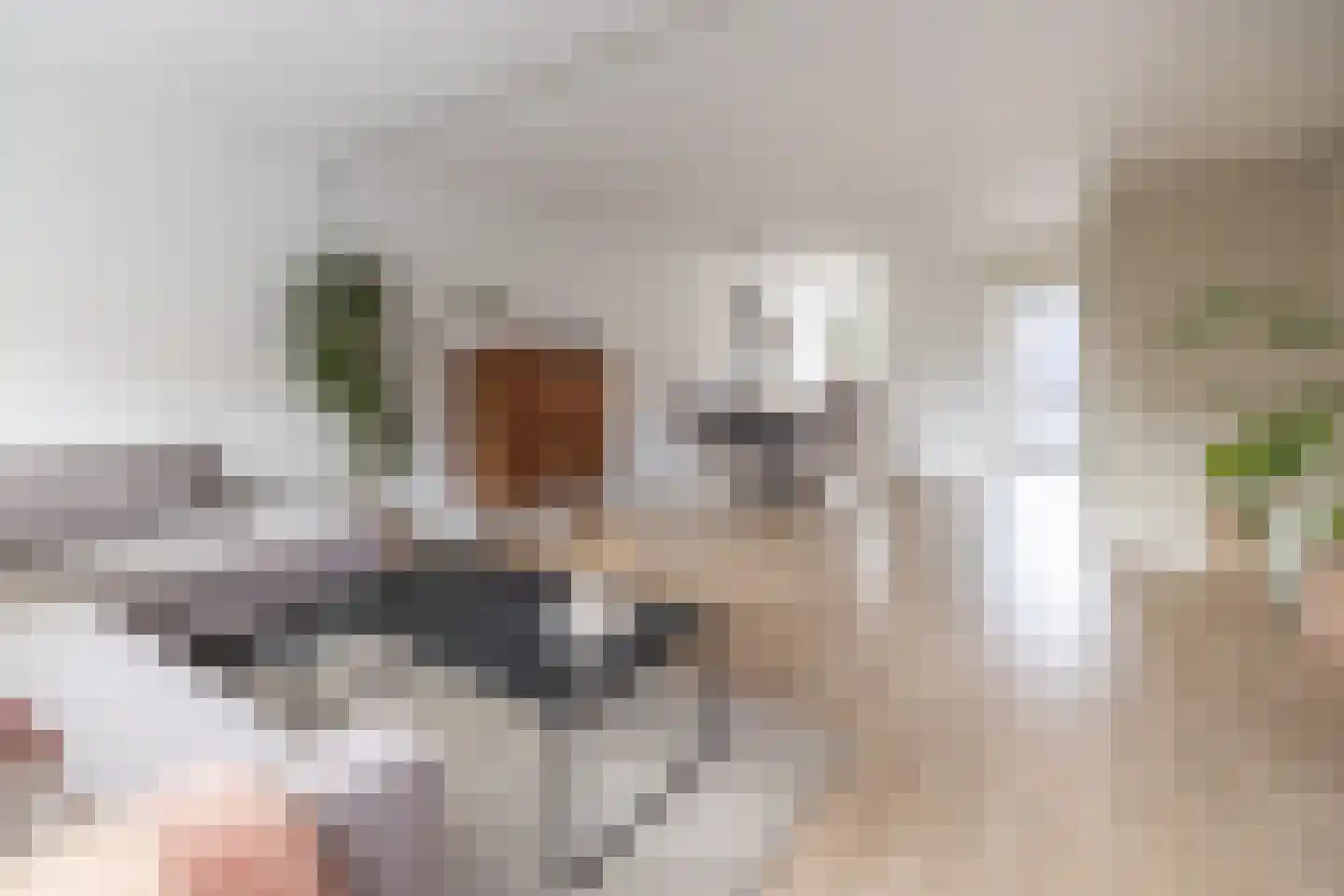 Wildforster 98 Barneveld thumbnail 5