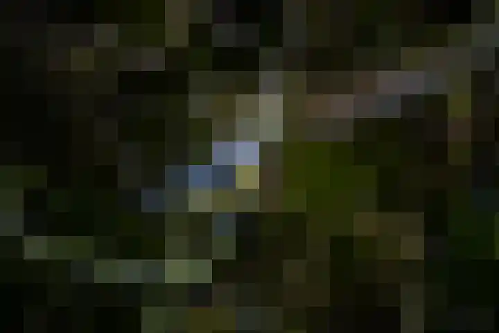 Wildforsterweg 17 102 Putten thumbnail 30
