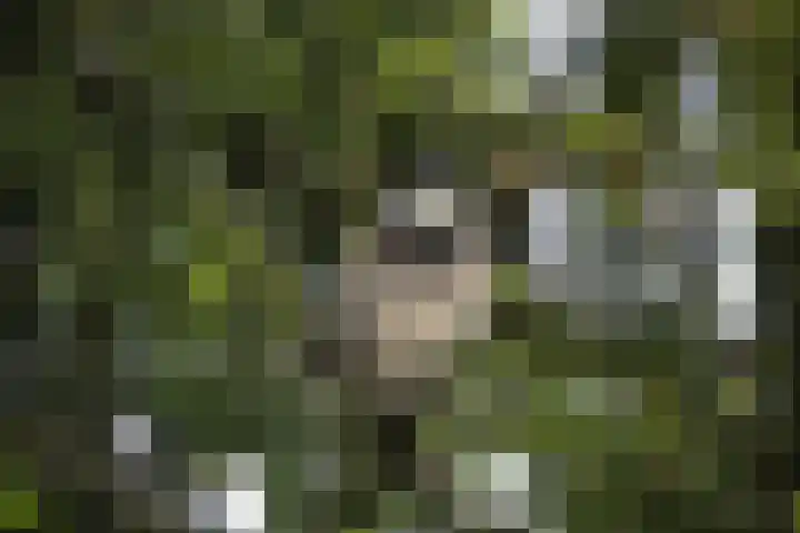 Wildforsterweg 17 102 Putten thumbnail 32