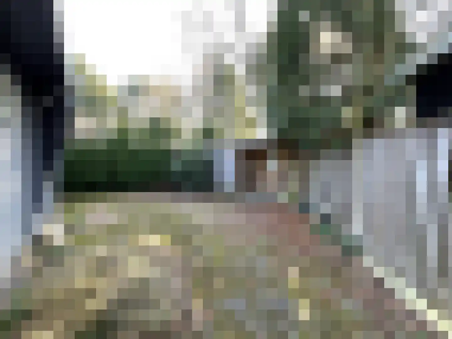 Wildforsterweg 17 116 Putten thumbnail 17
