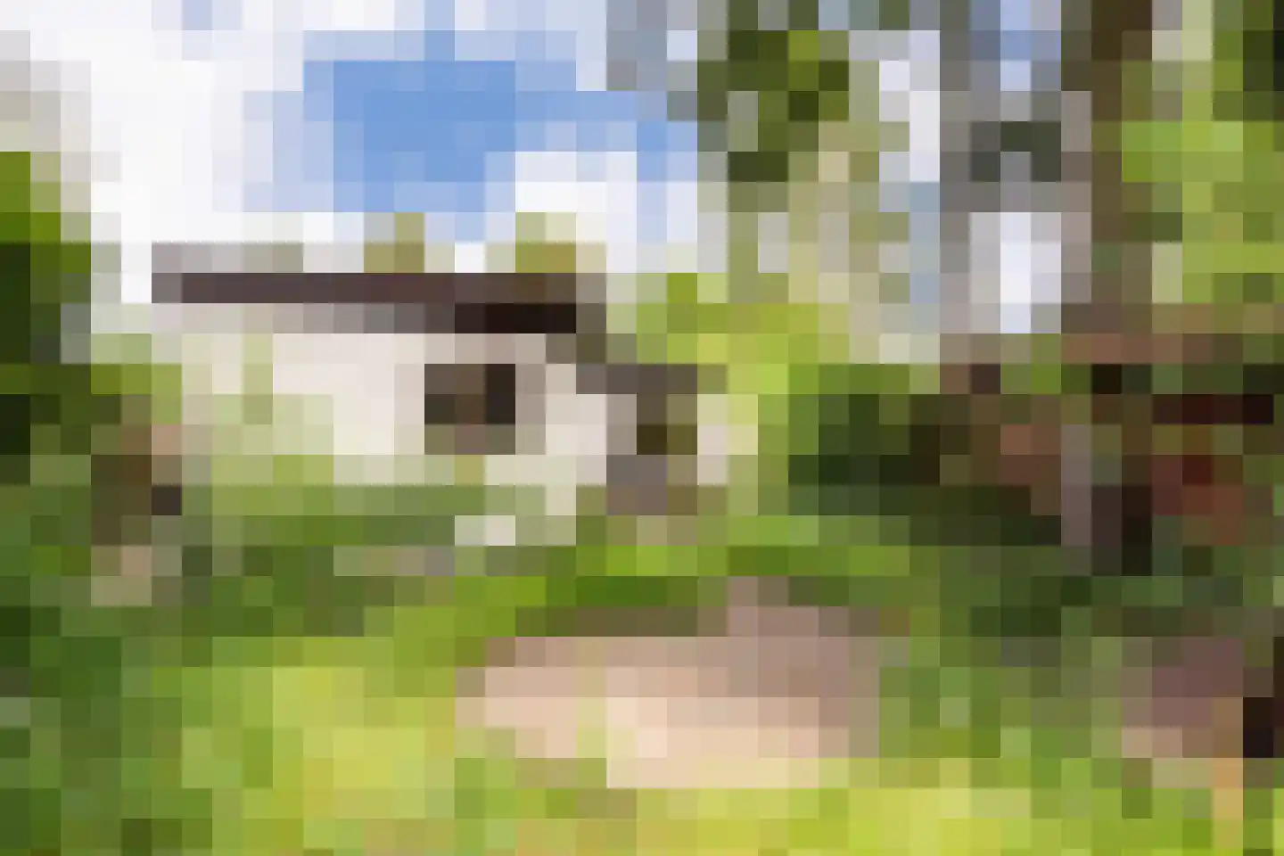 Wildforsterweg 17 135 Putten thumbnail 4