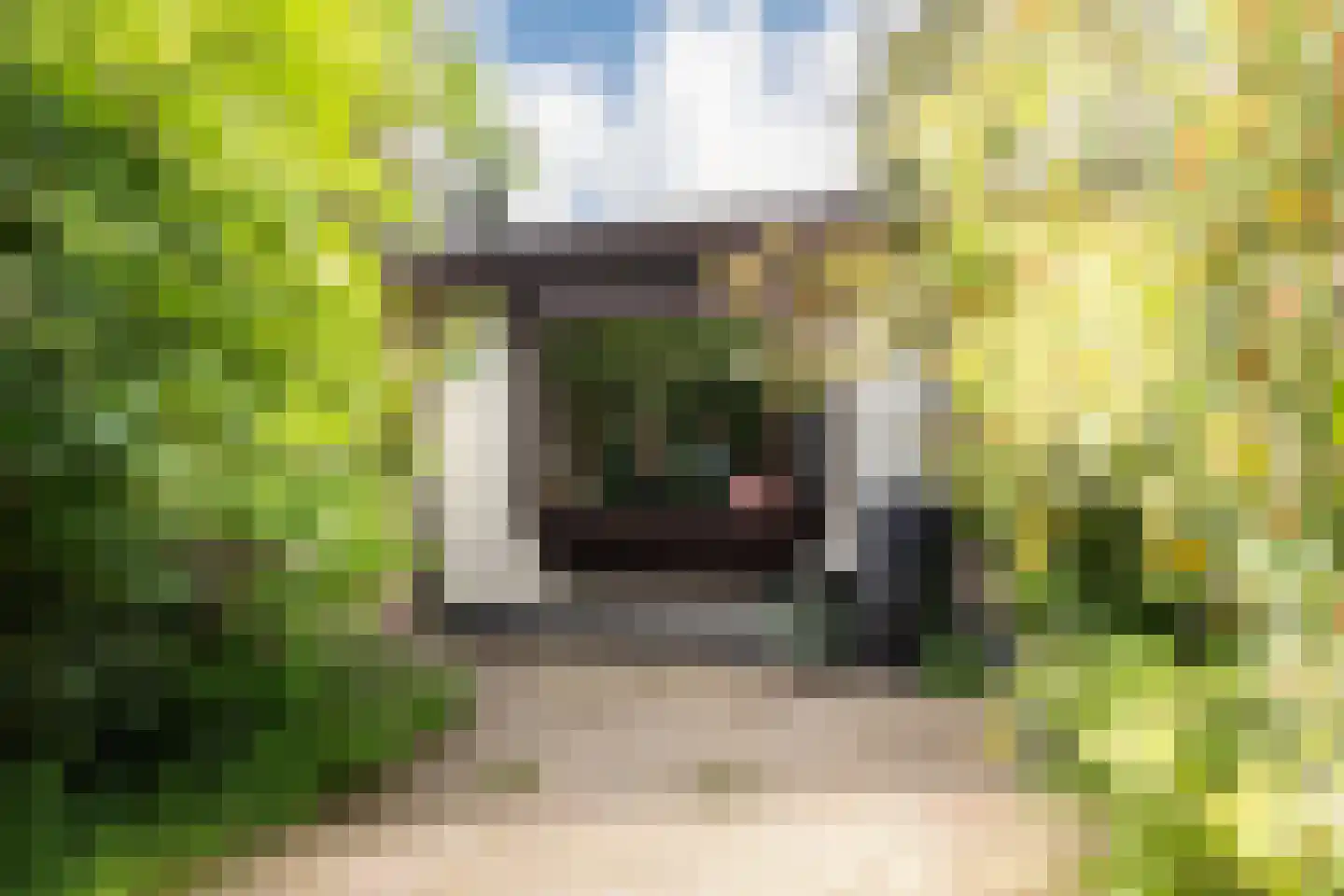 Wildforsterweg 17 135 Putten thumbnail 5