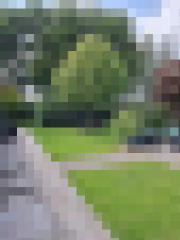 Wildforsterweg 17 152 Putten thumbnail 4