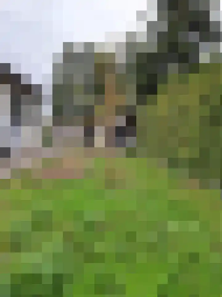 Wildforsterweg 17 152 Putten thumbnail 8