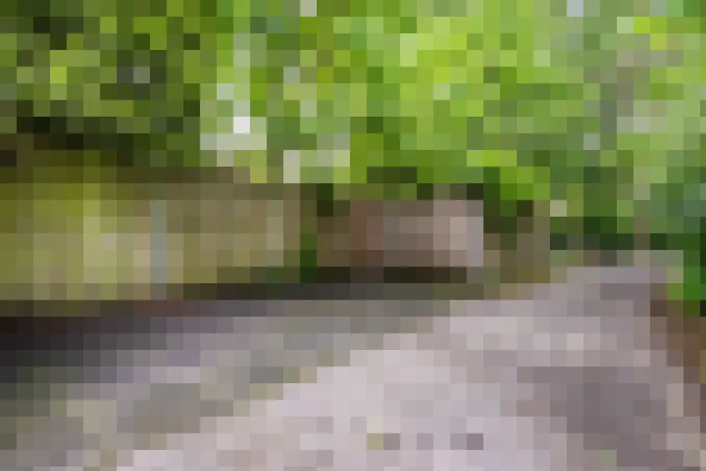 Wildforsterweg 17 153 Putten thumbnail 50