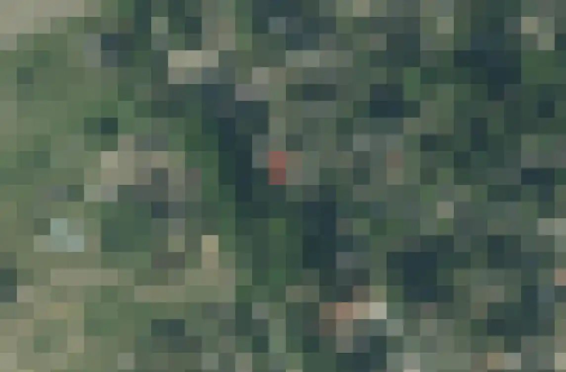 Wildforsterweg 17 153 Putten thumbnail 55
