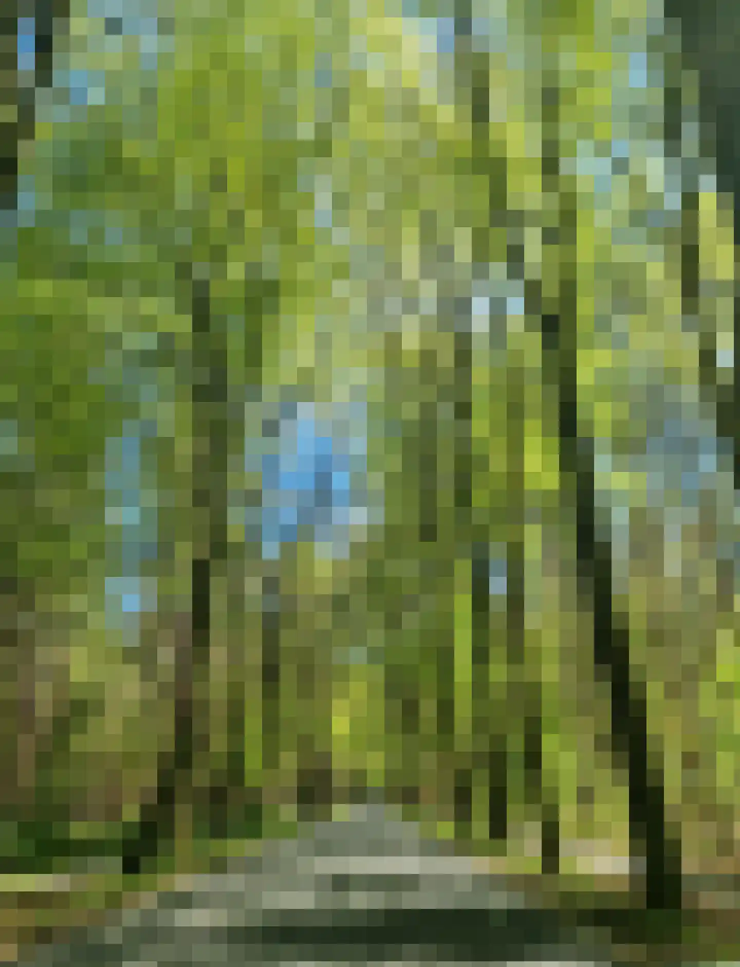 Wildforsterweg 17 162 Putten thumbnail 34