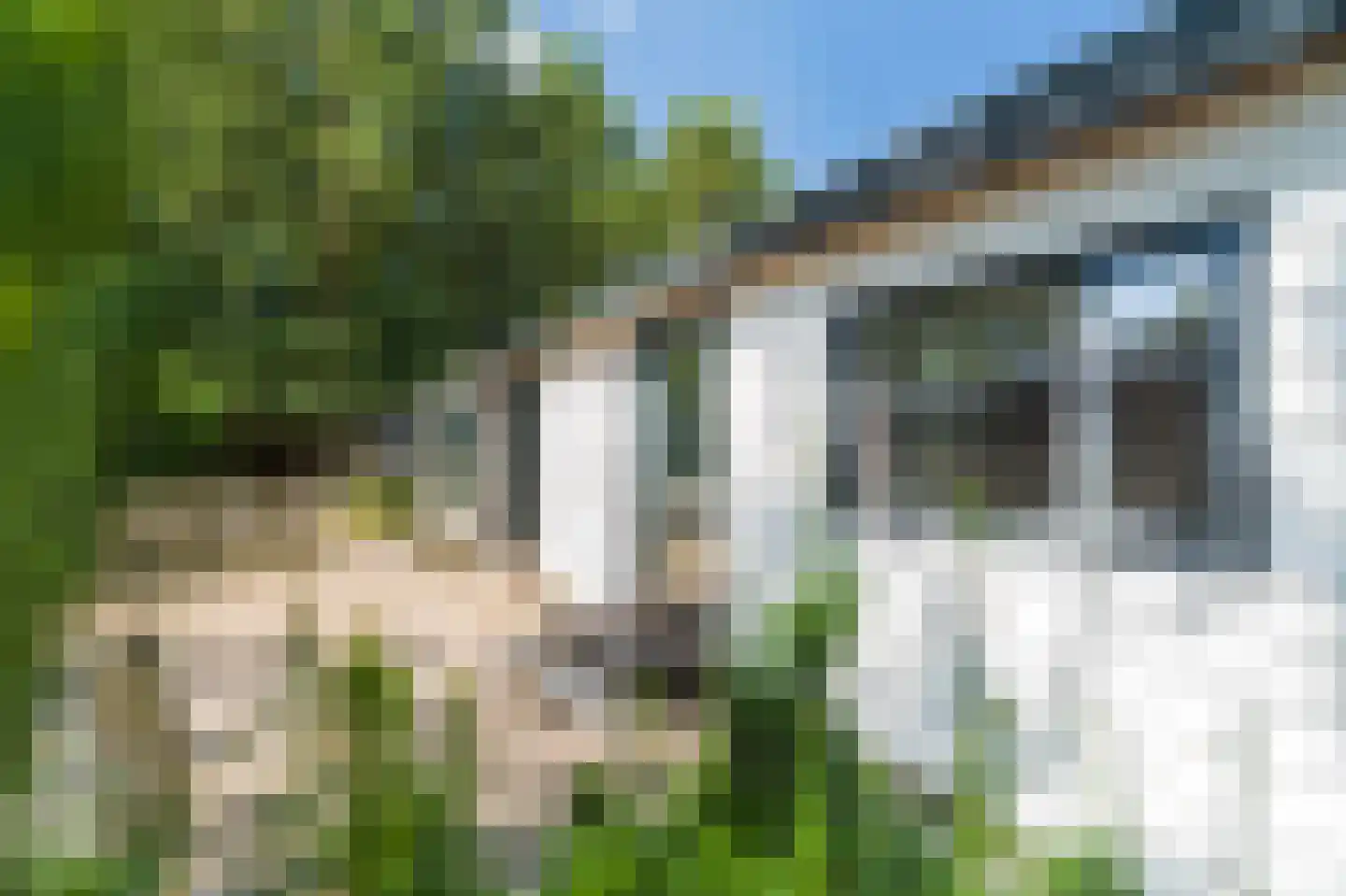 Wildforsterweg 17 26 Putten thumbnail 6