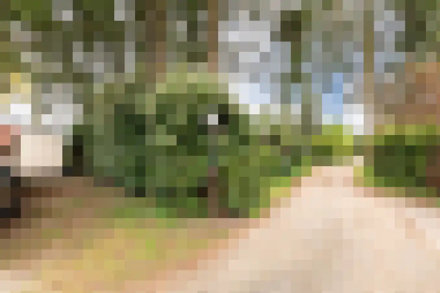 Wildforsterweg 17 34 Putten thumbnail 21