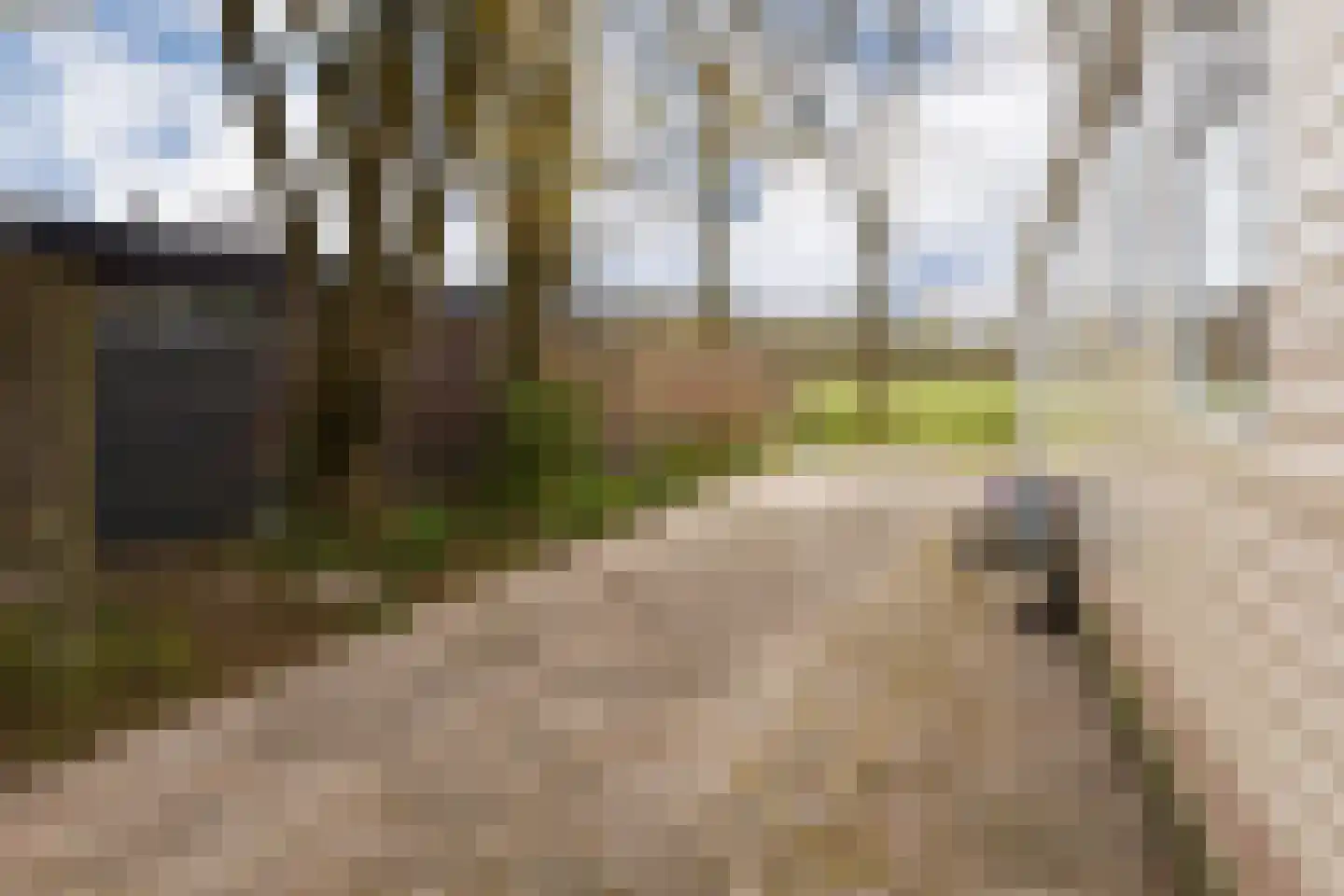 Wildforsterweg 17 34 Putten thumbnail 7