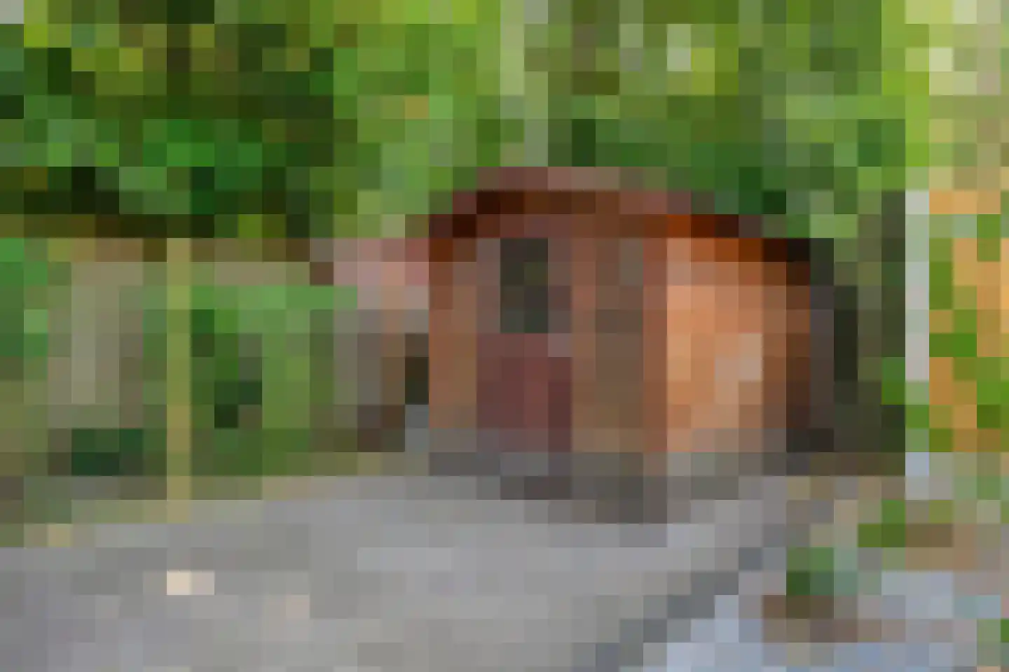 Wildforsterweg 17 51 Putten thumbnail 17