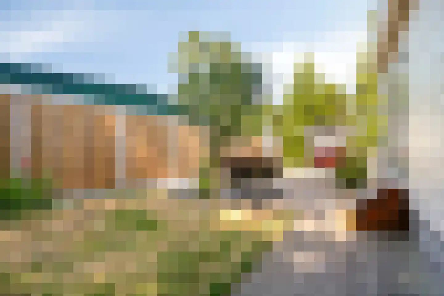 Wildforsterweg 17 51 Putten thumbnail 5