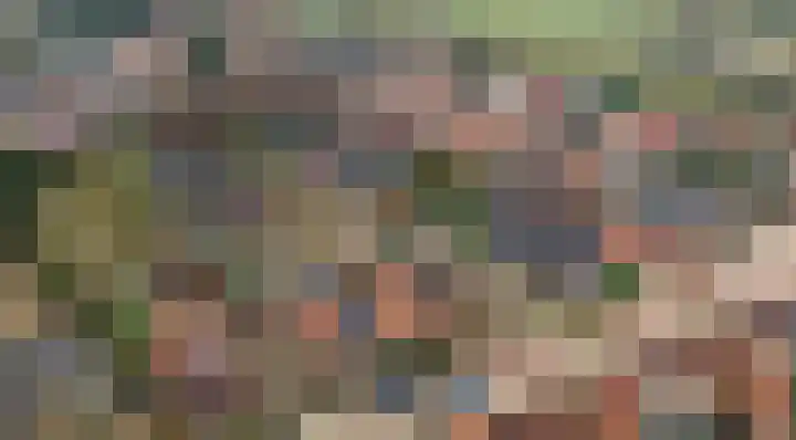 Wildgraaf 4 Elst Ut thumbnail 4