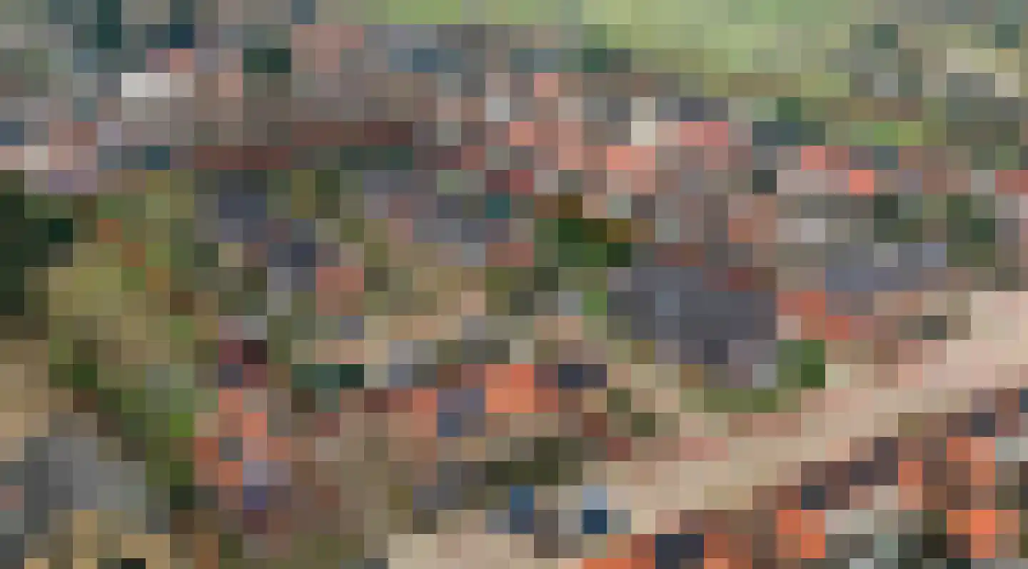 Wildgraaf 6 Elst Ut thumbnail 4