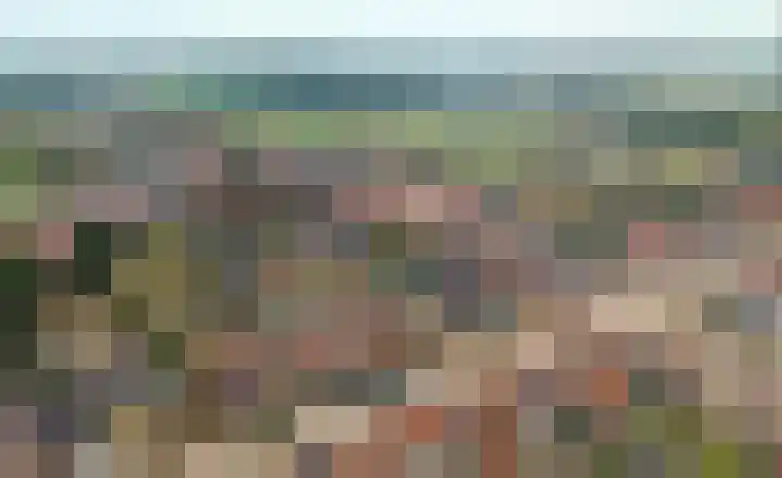 Wildgraaf 8 Elst Ut thumbnail 4