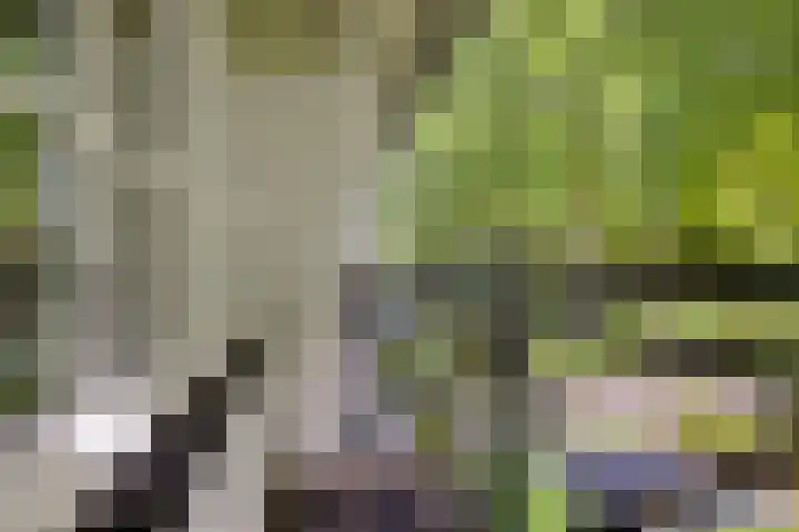 Wildhage 16 Teteringen thumbnail 31