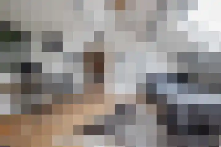Wildhage 16 Teteringen thumbnail 35