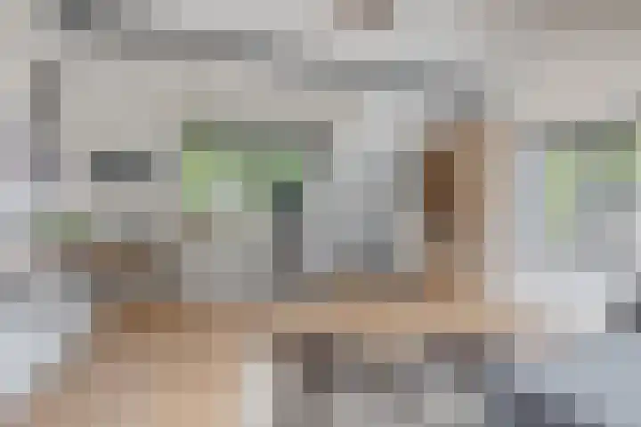 Wildhage 16 Teteringen thumbnail 36