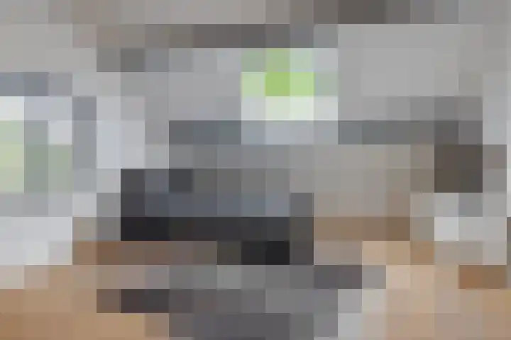 Wildhage 16 Teteringen thumbnail 37