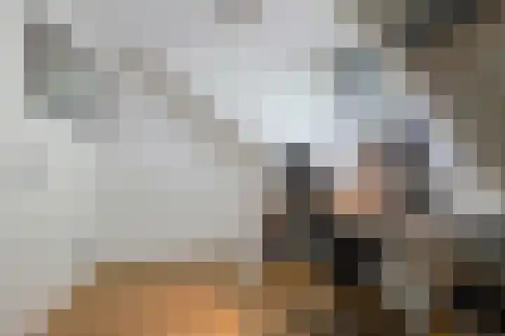 Wildhage 16 Teteringen thumbnail 39