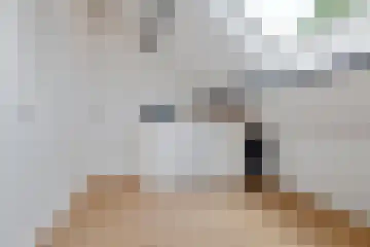Wildhage 16 Teteringen thumbnail 41