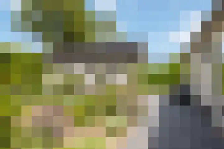 Wildhage 16 Teteringen thumbnail 42