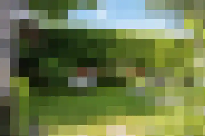 Wildhage 16 Teteringen thumbnail 43