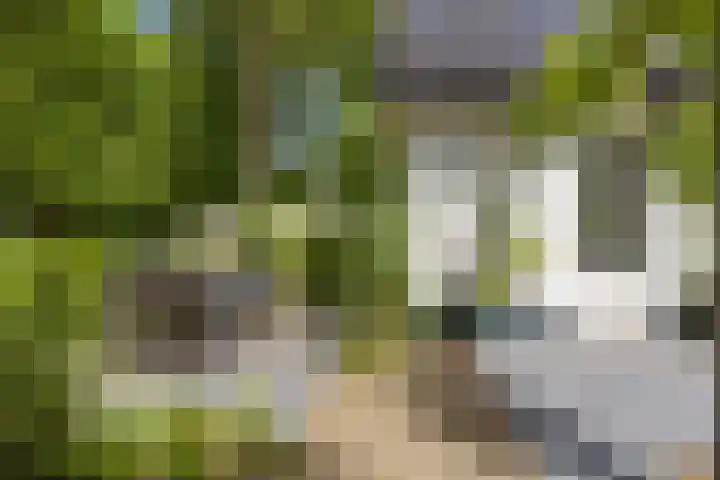 Wildhage 16 Teteringen thumbnail 46
