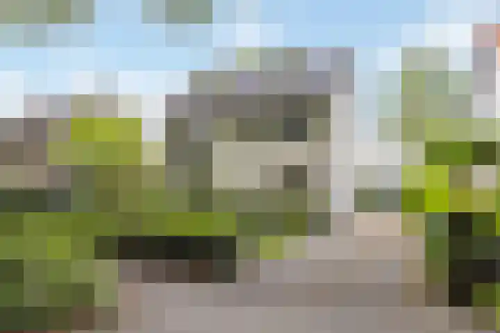 Wildhage 16 Teteringen thumbnail 51