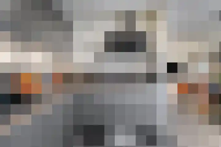 Wildheuvel 27 Best thumbnail 11