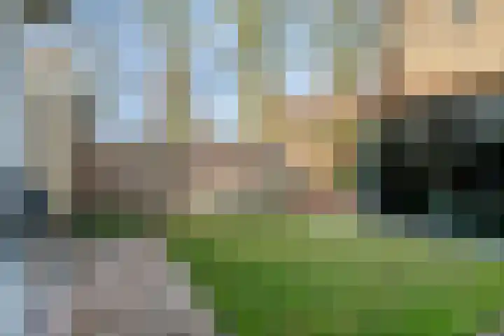Wildheuvel 27 Best thumbnail 24