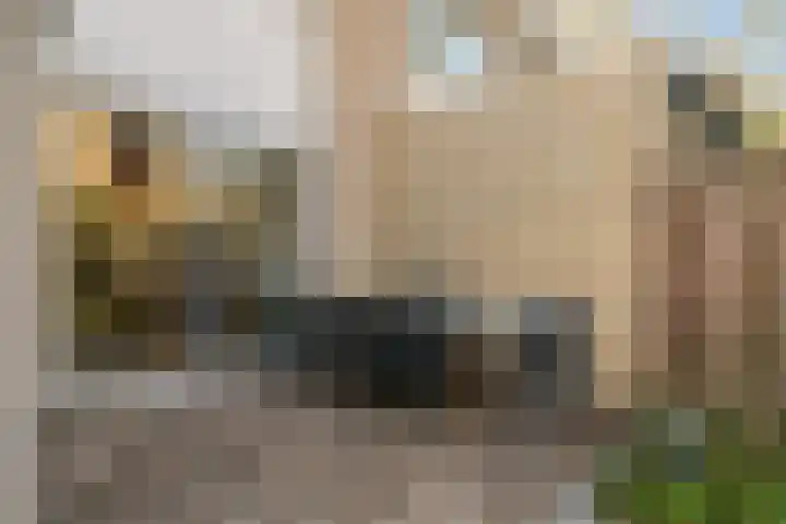 Wildheuvel 27 Best thumbnail 25