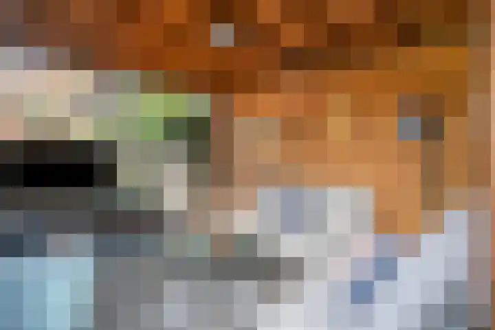 Wildheuvel 27 Best thumbnail 28