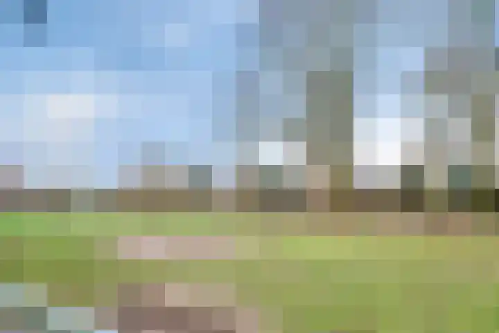 Wildheuvel 27 Best thumbnail 30