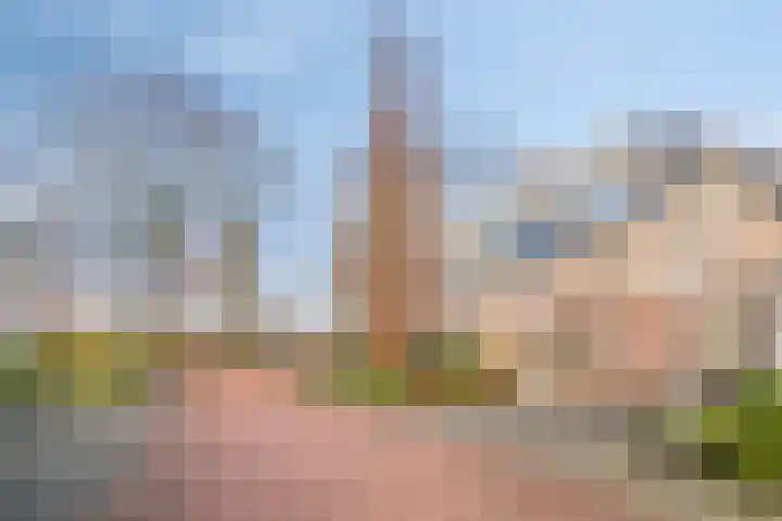 Wildheuvel 27 Best thumbnail 4
