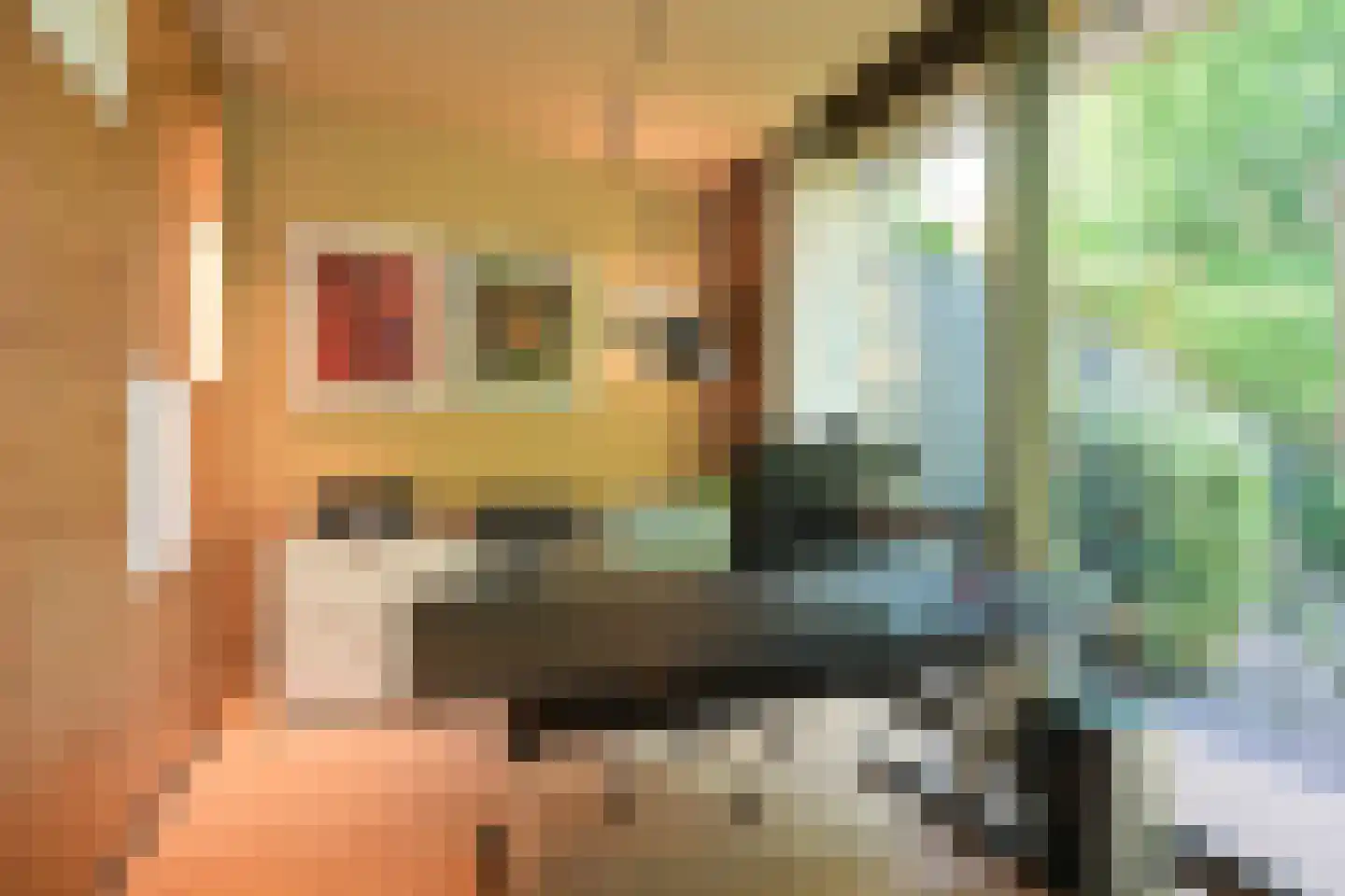 Wildhoeflaan 2 Den Haag thumbnail 17