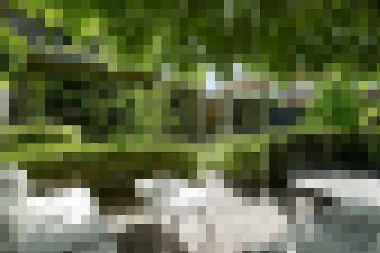 Wildhoeflaan 2 Den Haag thumbnail 19